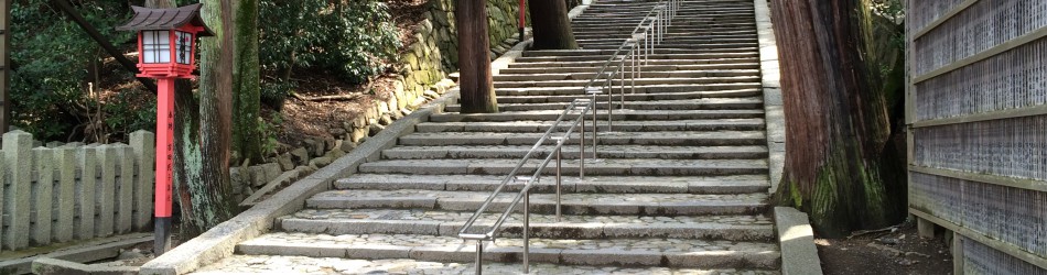 cropped-IMG_0260.jpg Cropped IMG 0260